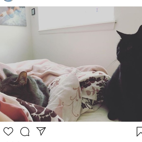 ☀️ meet your posher! ☀️ - Picture 4 of 5